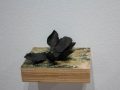 azuring // flores negras. madera, papel, plástico. 8 x 17 x 13,5 cm. 2011