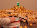 Milagrolimón. 2.000 limones, luces LED, cables e imagen de la Moreneta 2012