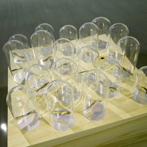 Thousand hand. Impresión fotográfica sobre papel y alfileres cristal, madera, hierro. 70 x 35 x 40 cm. 2013